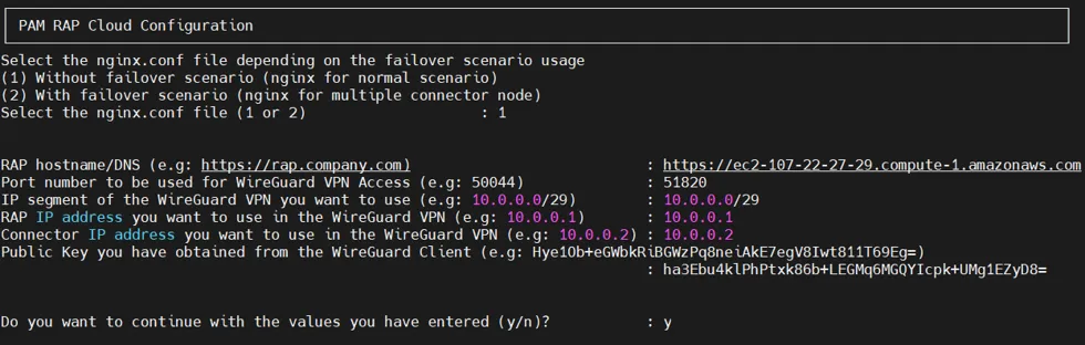 Filling in the necessary values for the Remote Access Portal installation
