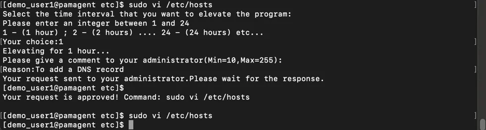 Sudo Command Example