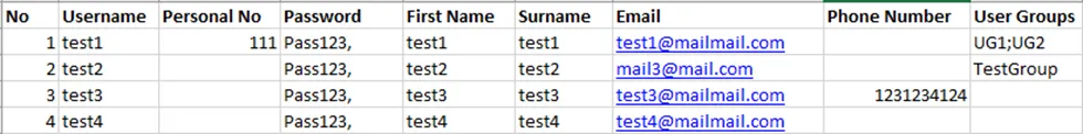User Bulk Import File Structure User Bulk Import File Structure