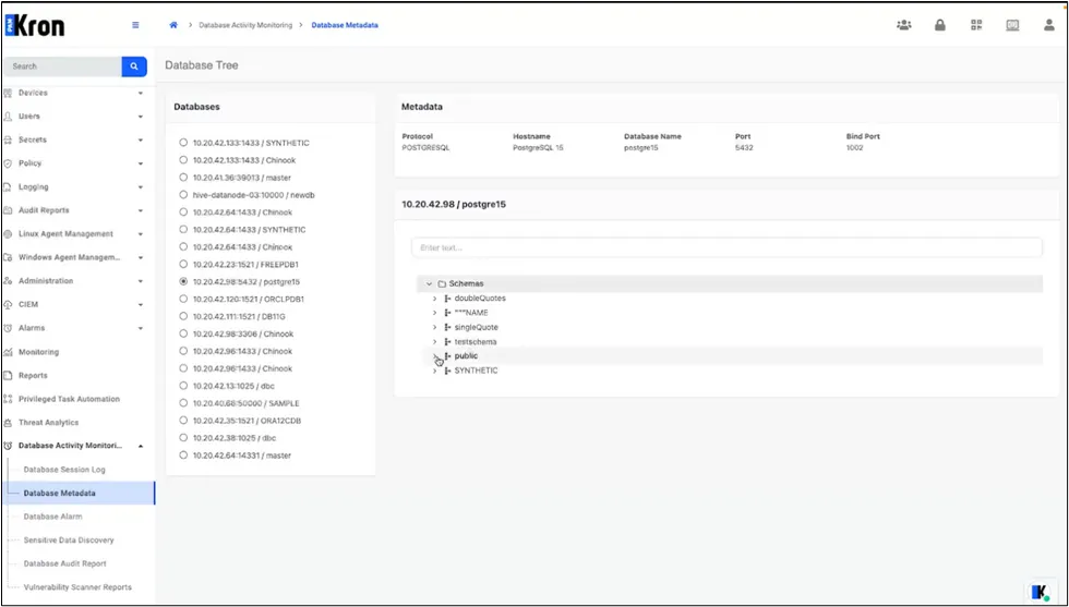 Expanded DB Object Tree showing multiple schemas