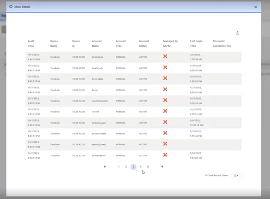 Database Audit Report Details