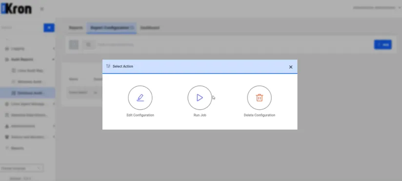 Database Audit Report Configuration Options / Run button