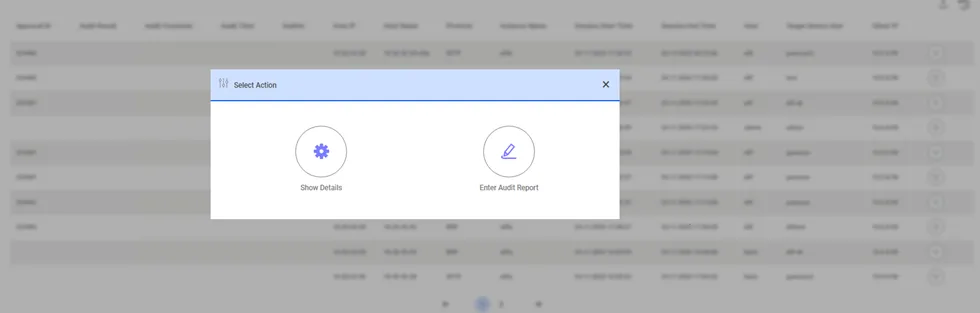 Enter Audit Report Enter Audit Report