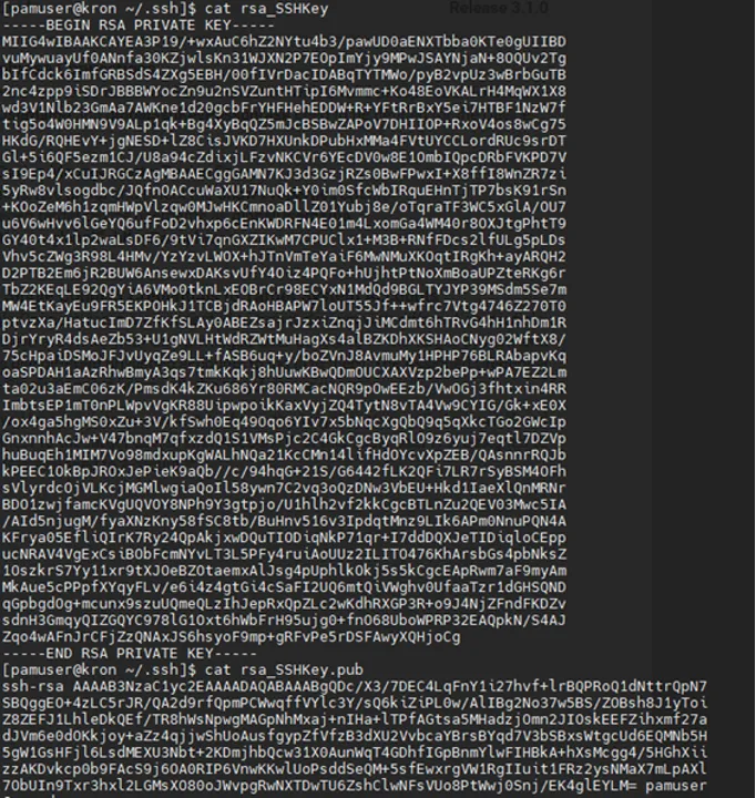 Output of Private Key without Passphrase Usage Output of Private Key without Passphrase Usage