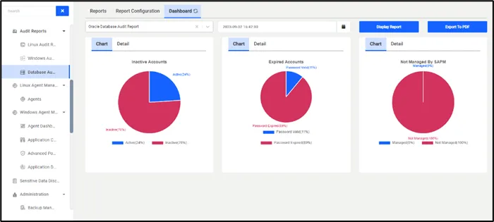 Database Audit Report Dashboard