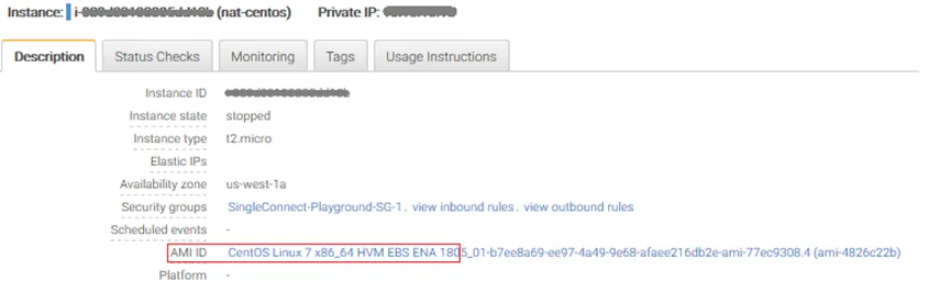 AWS Instance AMI Description