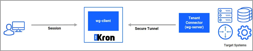 The Tenant Connector Inbound Option