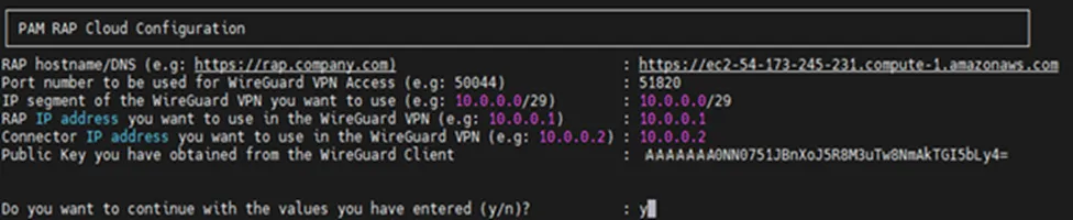 Filling in the necessary values for the Remote Access Portal (RAP) installation