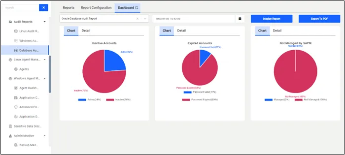 Database Audit Report Dashboard