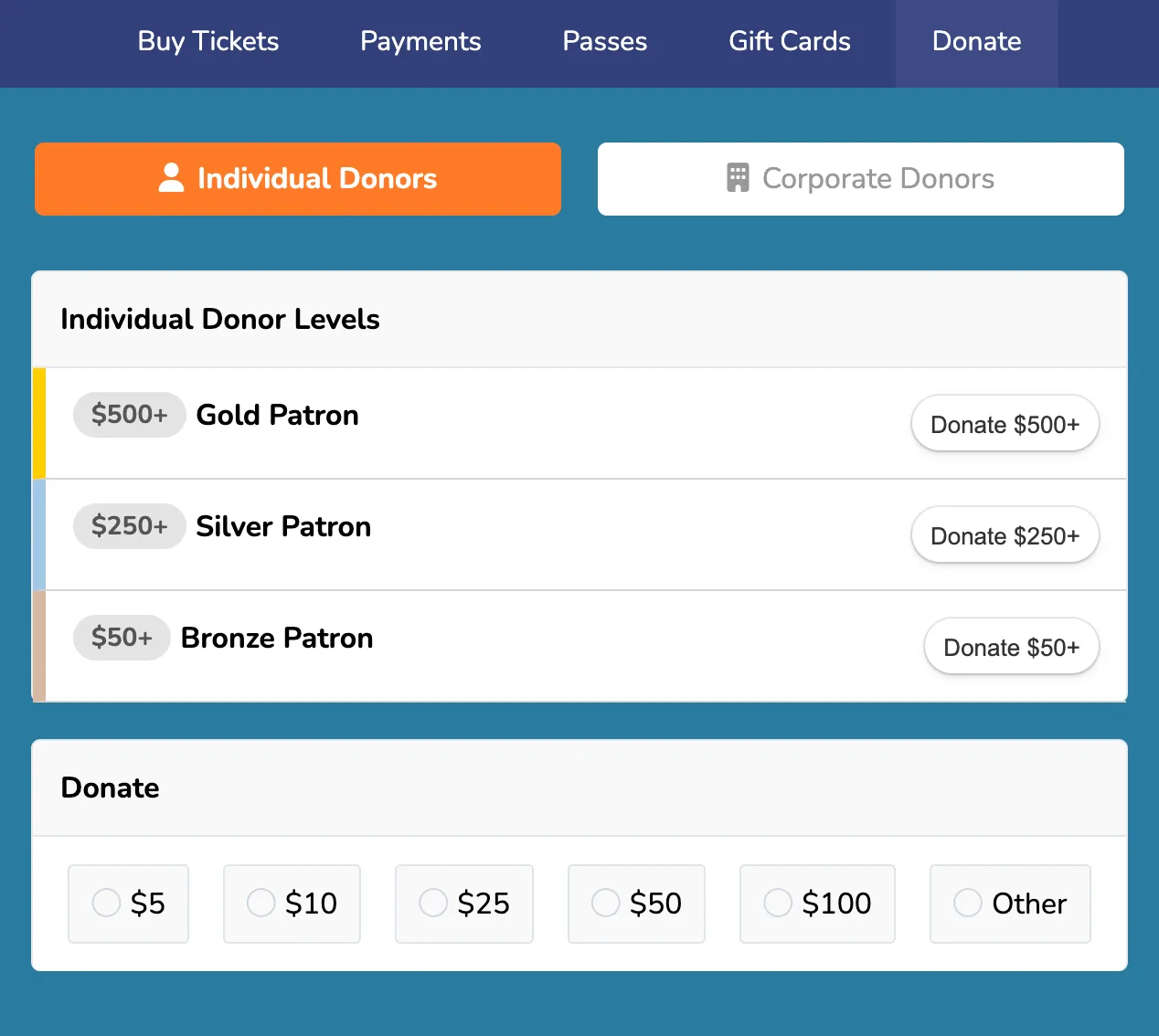 View for Individual Donations