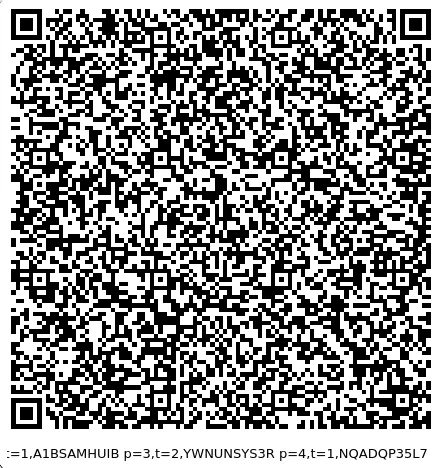 A sample "Passwords backup" QR code A sample "Passwords backup" QR code