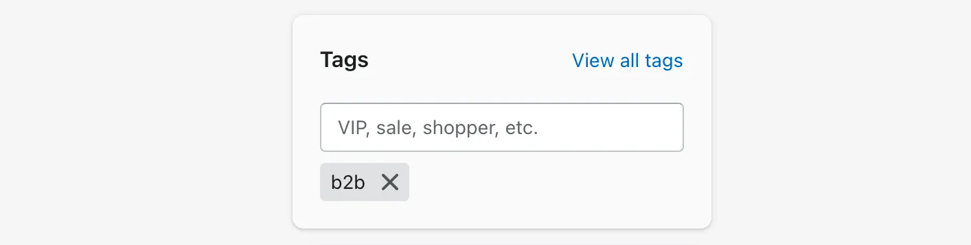 How customer tags show in Shopify for a customer record