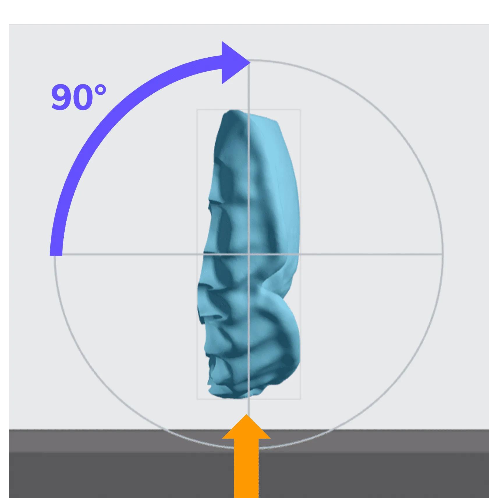 Lower denture base orientation Lower denture base orientation