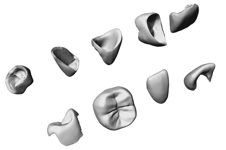 Crowns Crowns