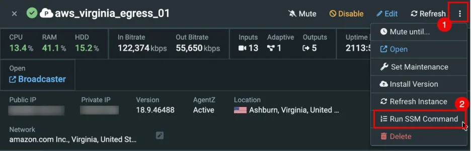 Run SSM Command Option