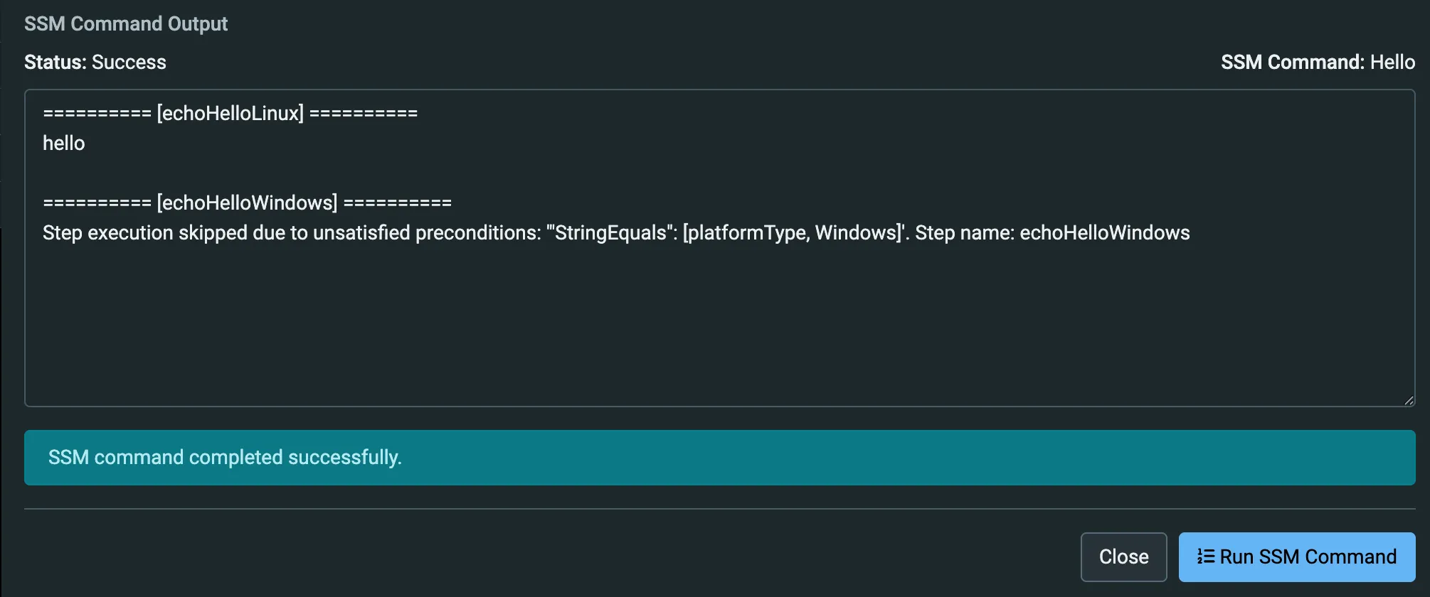 SSM Command Output