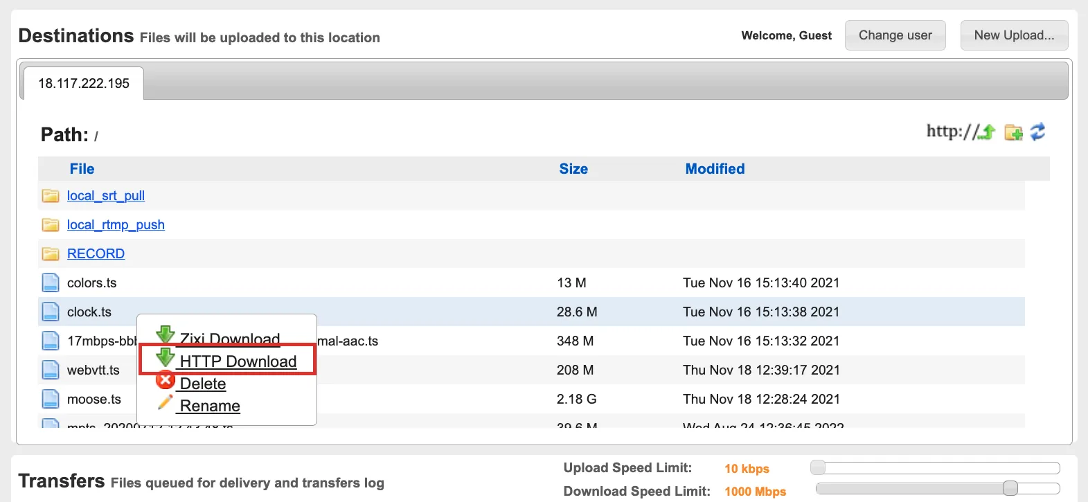 File download options