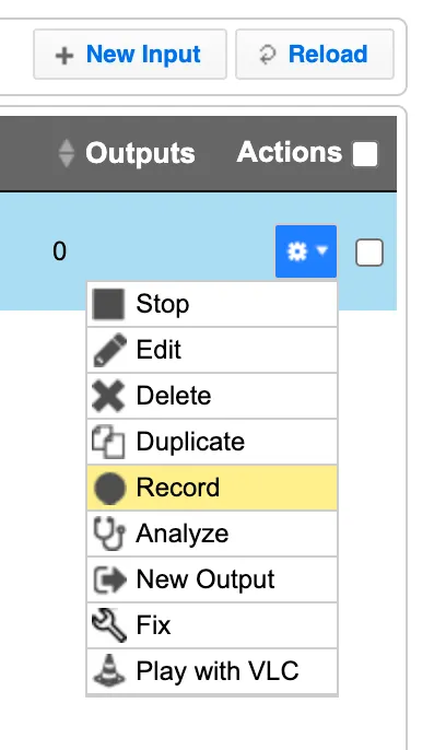 Record Input Stream