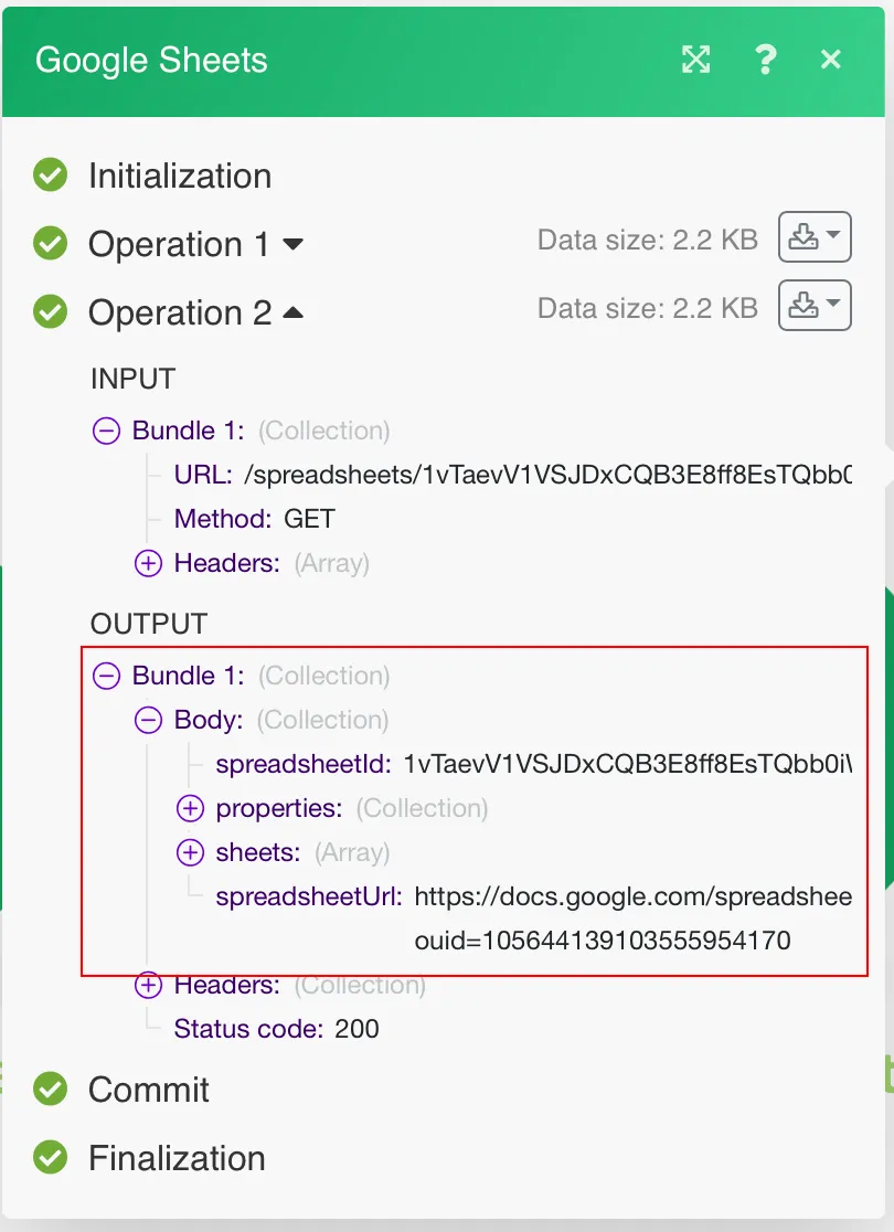 Make an API call bundle output