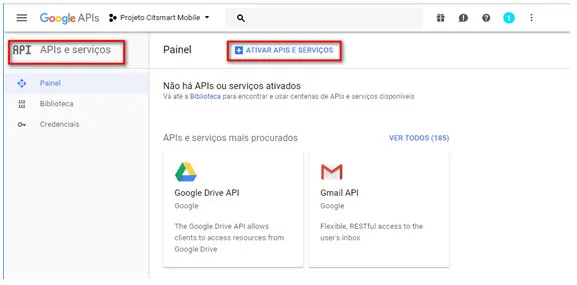 Figura 8 - APIs Google
