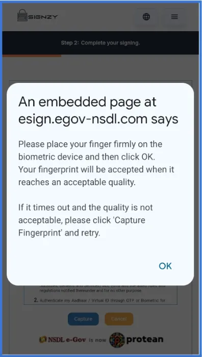 NSDL Page Interface