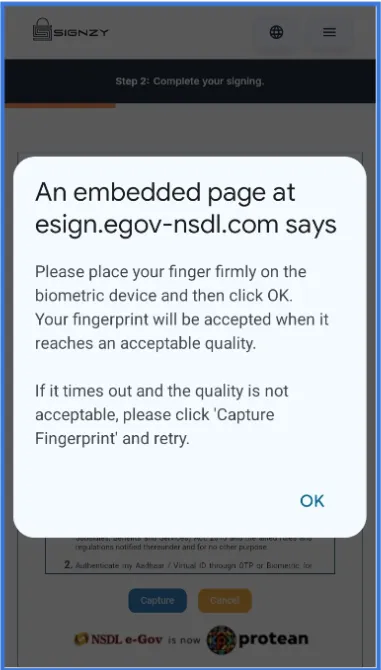 NSDL Interface