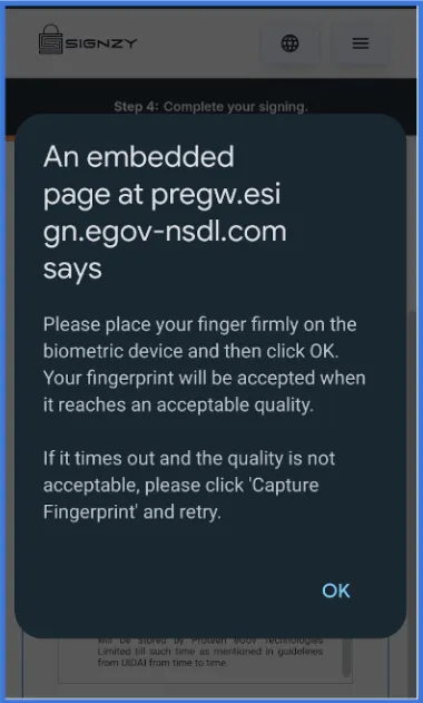 NSDL Interface