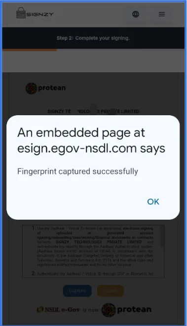 NSDL Page Interface