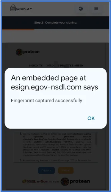 NSDL Interface