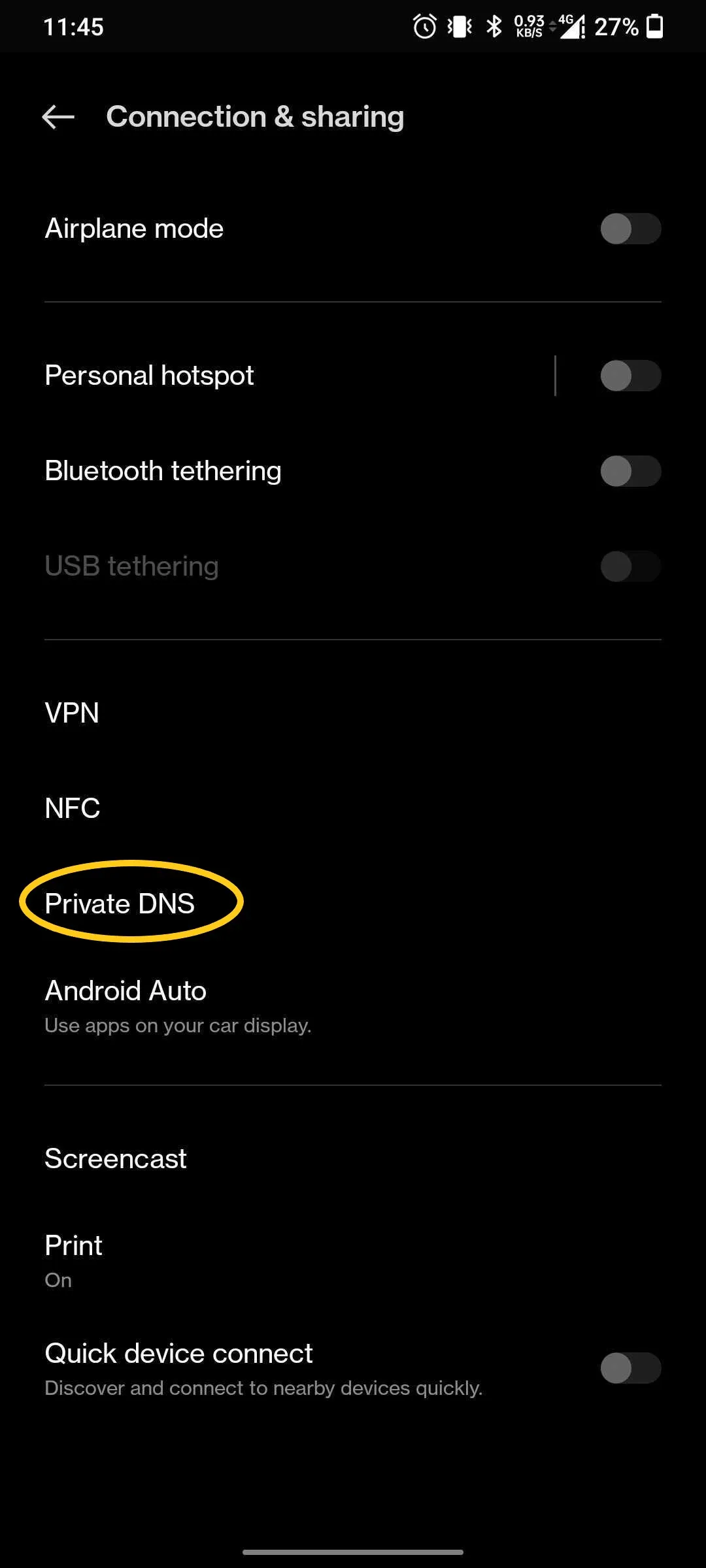Selecting the Private DNS entry within Connection and Sharing