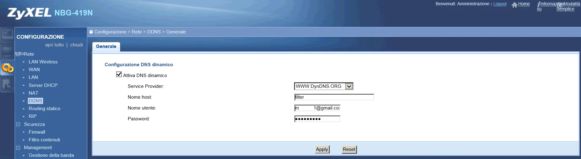 Configuración y activación de DNS dinámico