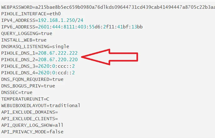 Changing the correct DNS through text editor