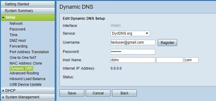 Edición de DNS dinámico