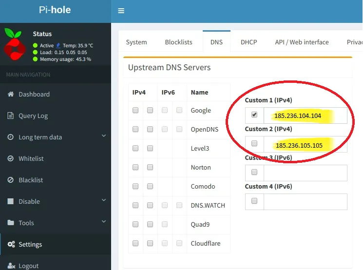 Entering the correct ipv4 DNS