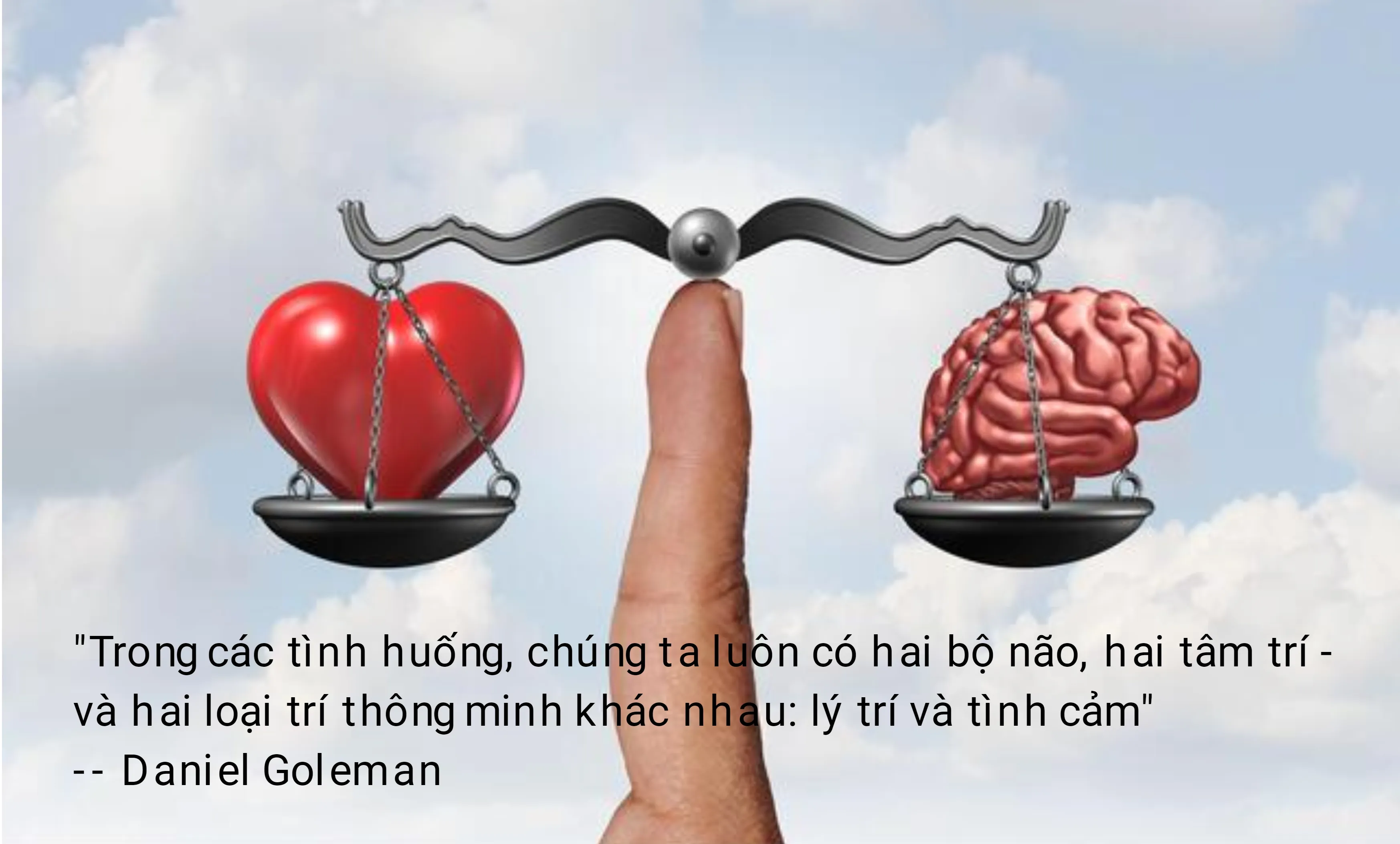 Cân bằng cảm xúc và lý trí Cân bằng cảm xúc và lý trí