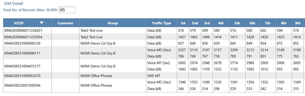 Detailed table showing daily traffic usage per SIM across the selected billing month. Detailed table showing daily traffic usage per SIM across the selected billing month.