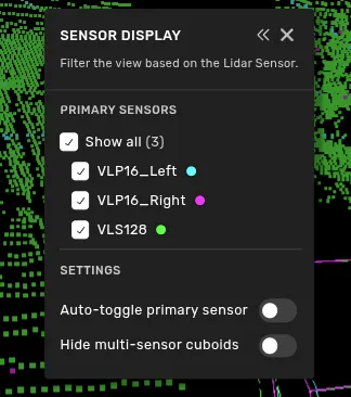 Sensor display window