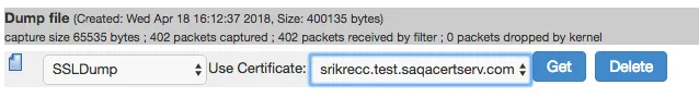 Viewing the TCP Dump Output