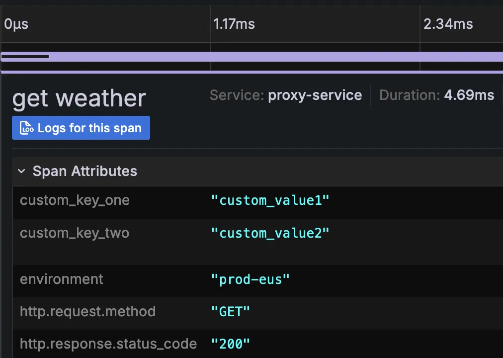 Custom Span Attributes
