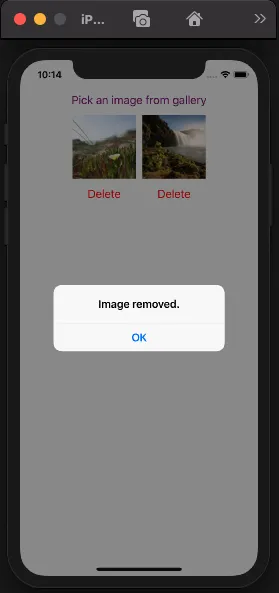 Document image