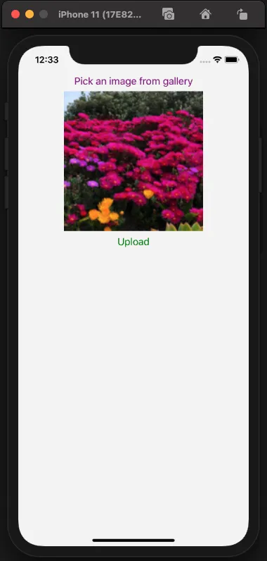 Document image Document image
