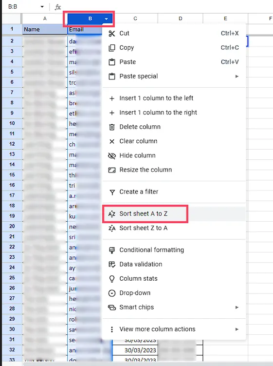 Document image