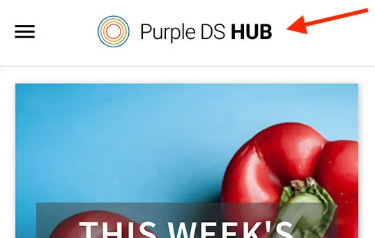 Example action bar logo in Purple app