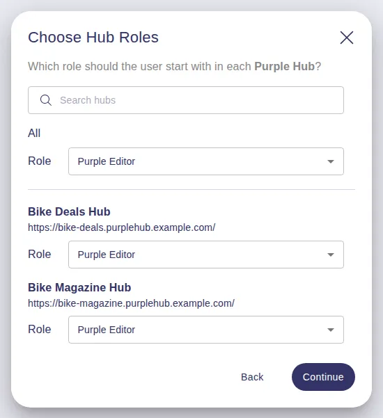 Step Choose Hub Roles for a Team Admin